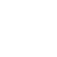 download {{ file.name }}