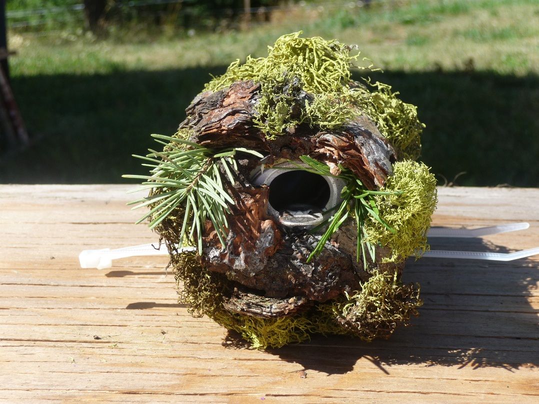 Little Wren Birdhouse From a Soda Can.