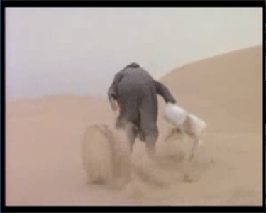 Escape in the Desert