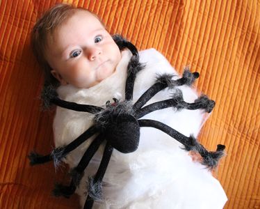 Spider Attack