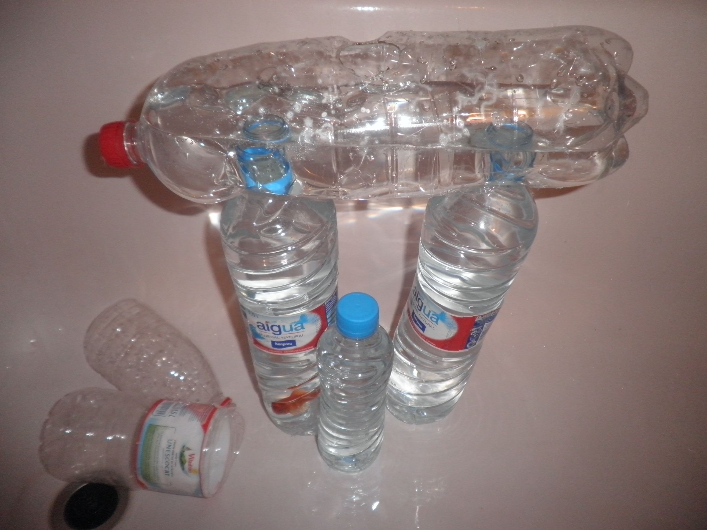 Coolest and Grotiest Fish Tank Ever!