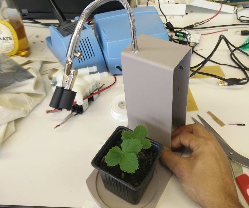 Automated House Plant Care. Flora First Aid