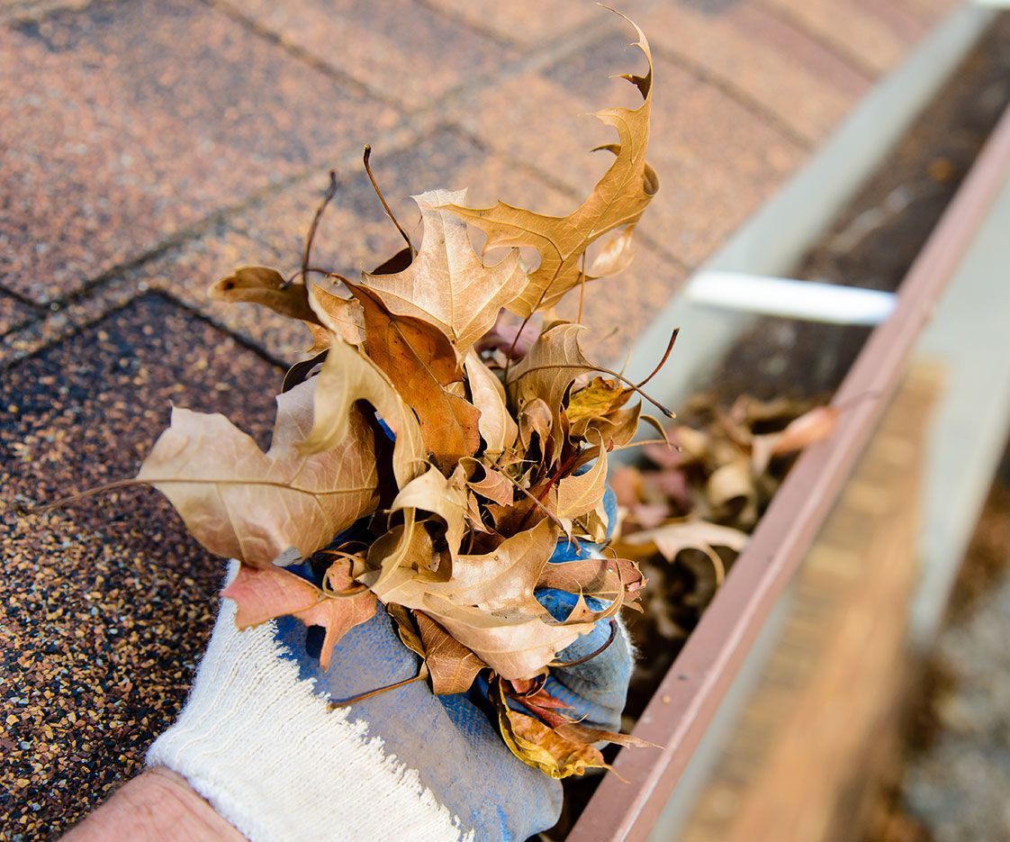 Finest Aspen Maid Service - to Get a Cleaner Living Environment.