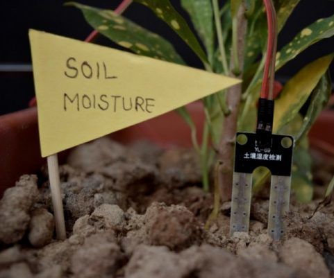 Self Irrigating Planter (with Moisture Sensor) 