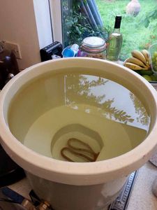 Water Prep