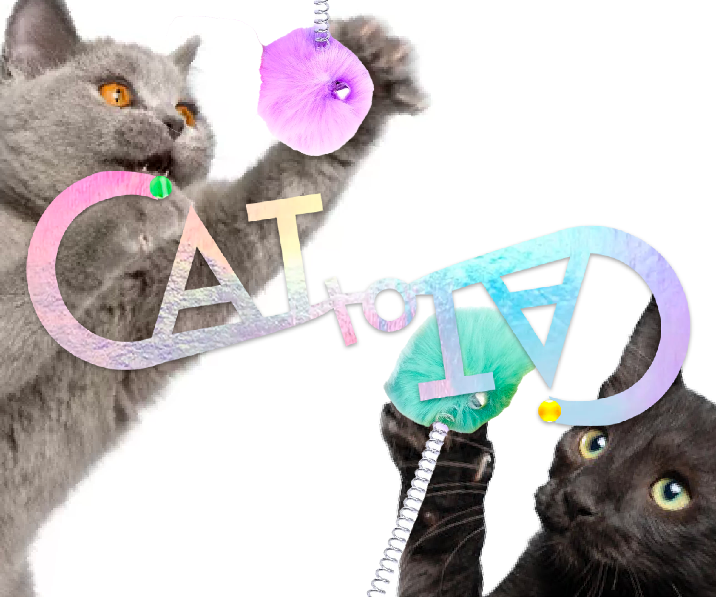 IoT Cat Toy