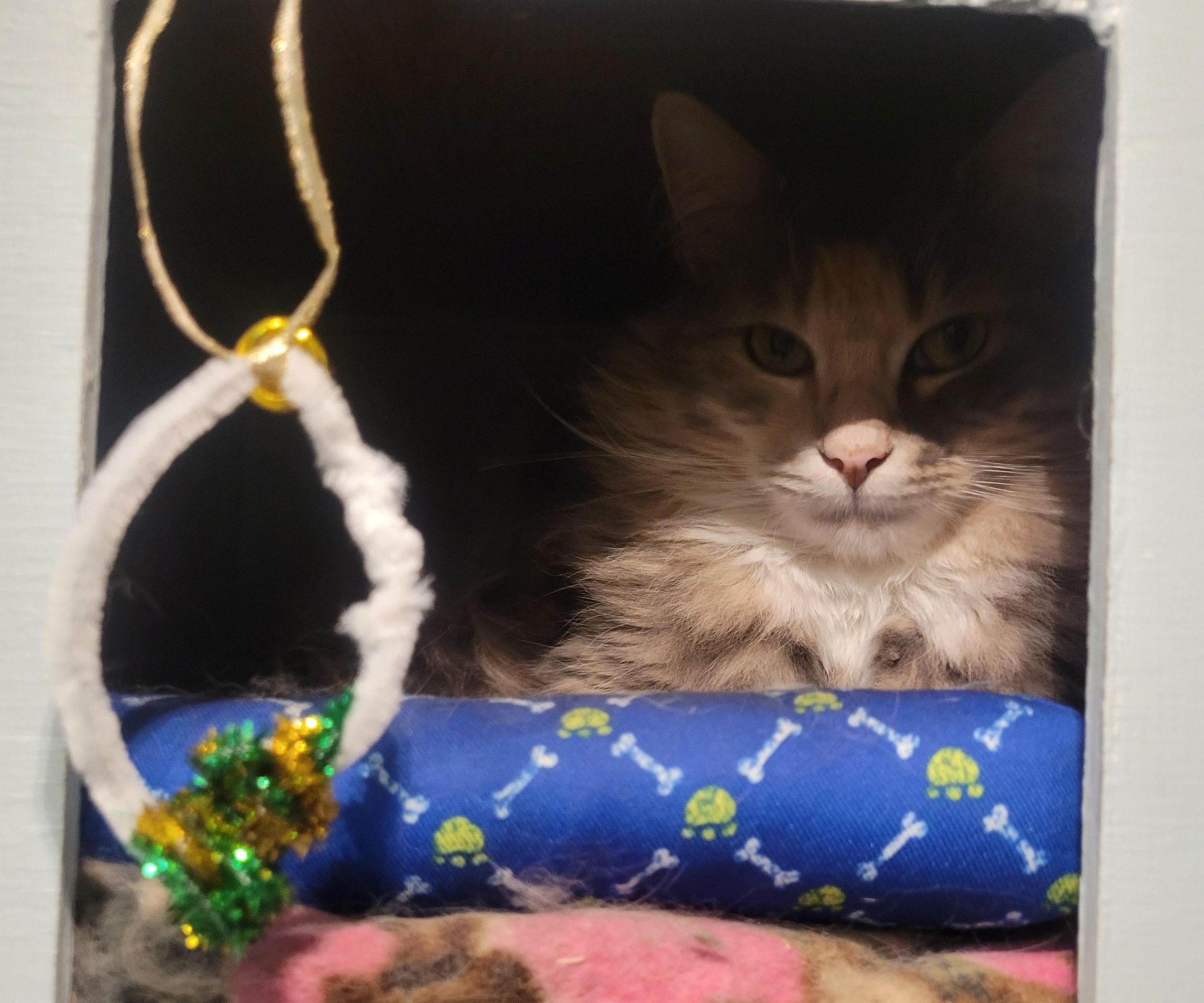 Jingle Bell Cat Toy