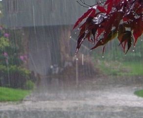 Rainy Day Activities