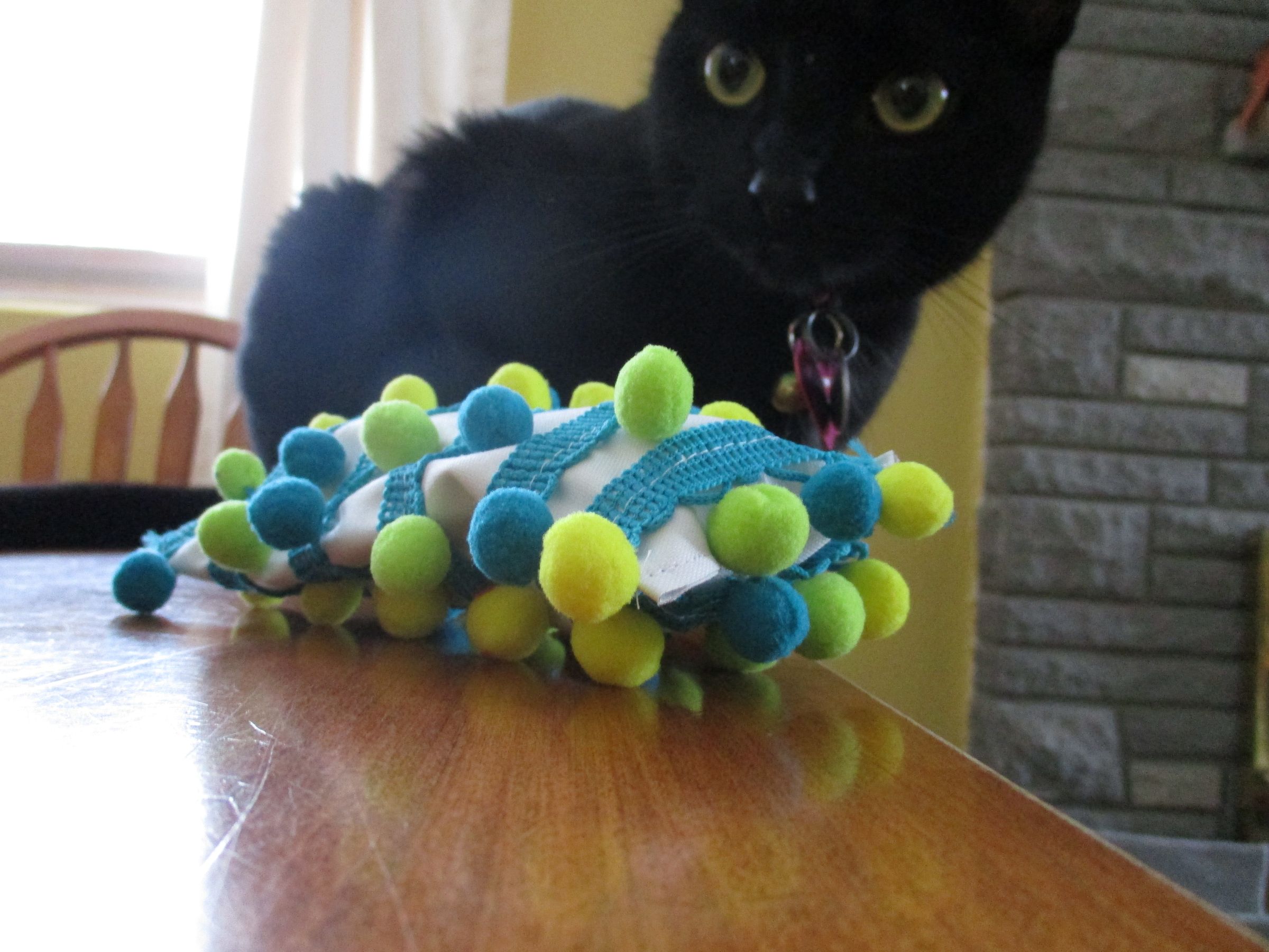 Double Awesome Cat Toy! 5 Steps (with Pictures) Instructables