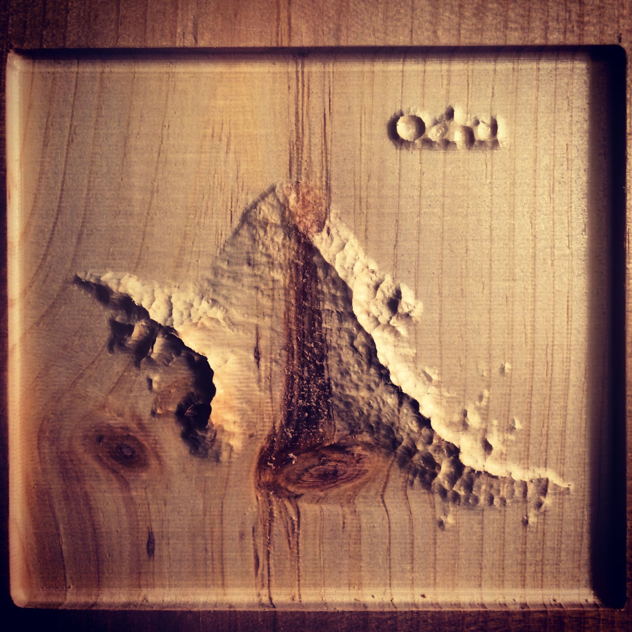 3D Milling a Hawaiian Island on My Shapeoko 2 CNC