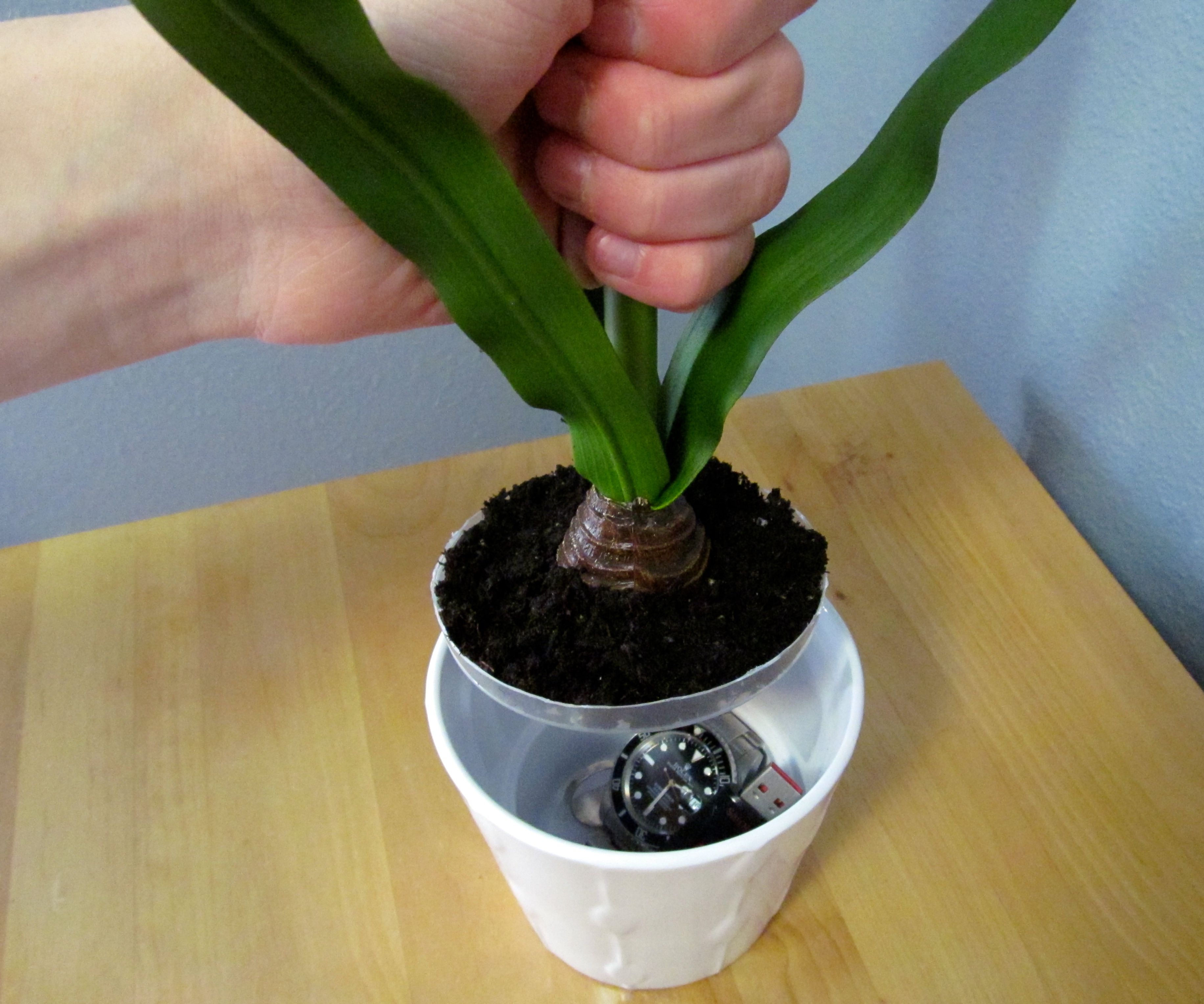Potted Plant Secret Compartment