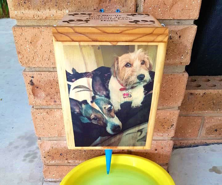 How to Make a Dog Auto Water Feeder