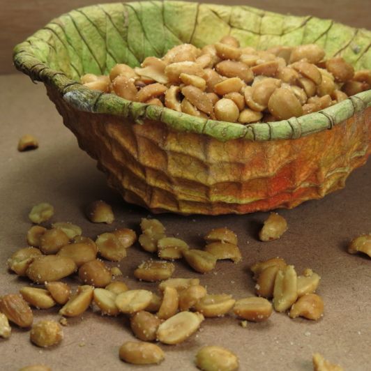 Dragon Bowl: Inverted Watermelon