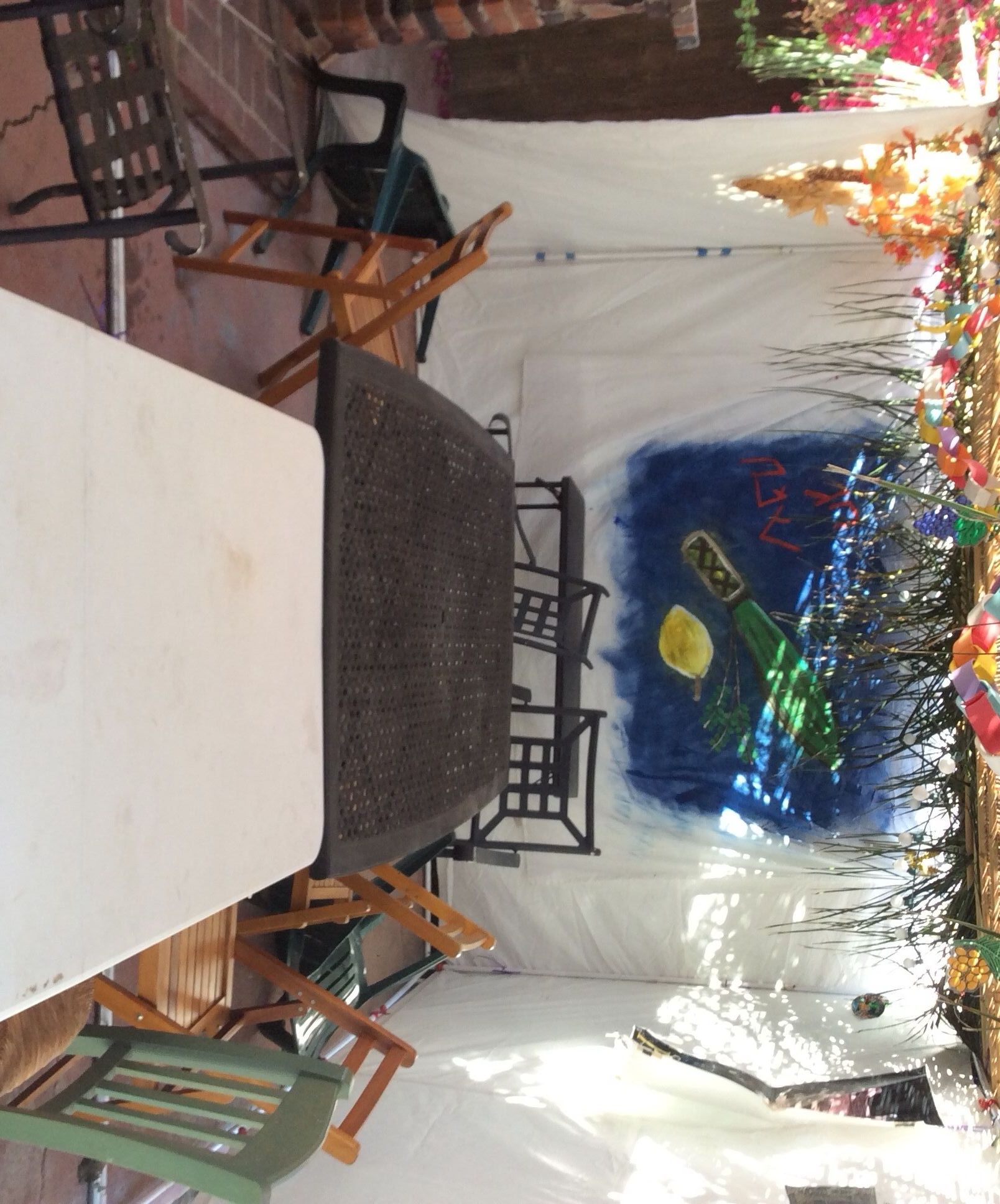 Build a Shelter (sukkah, Booth, Hut)