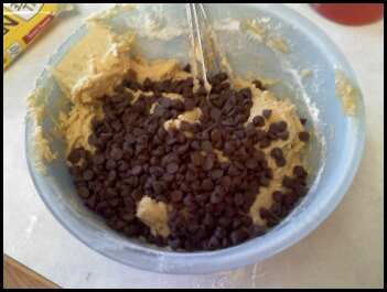 Chocolate Chips!!!!!!!!!!!