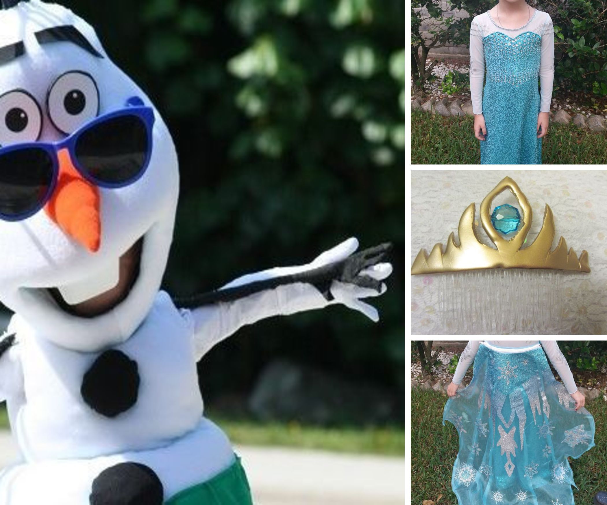 Frozen Costumes: Olaf, Elsa, Sven, and More