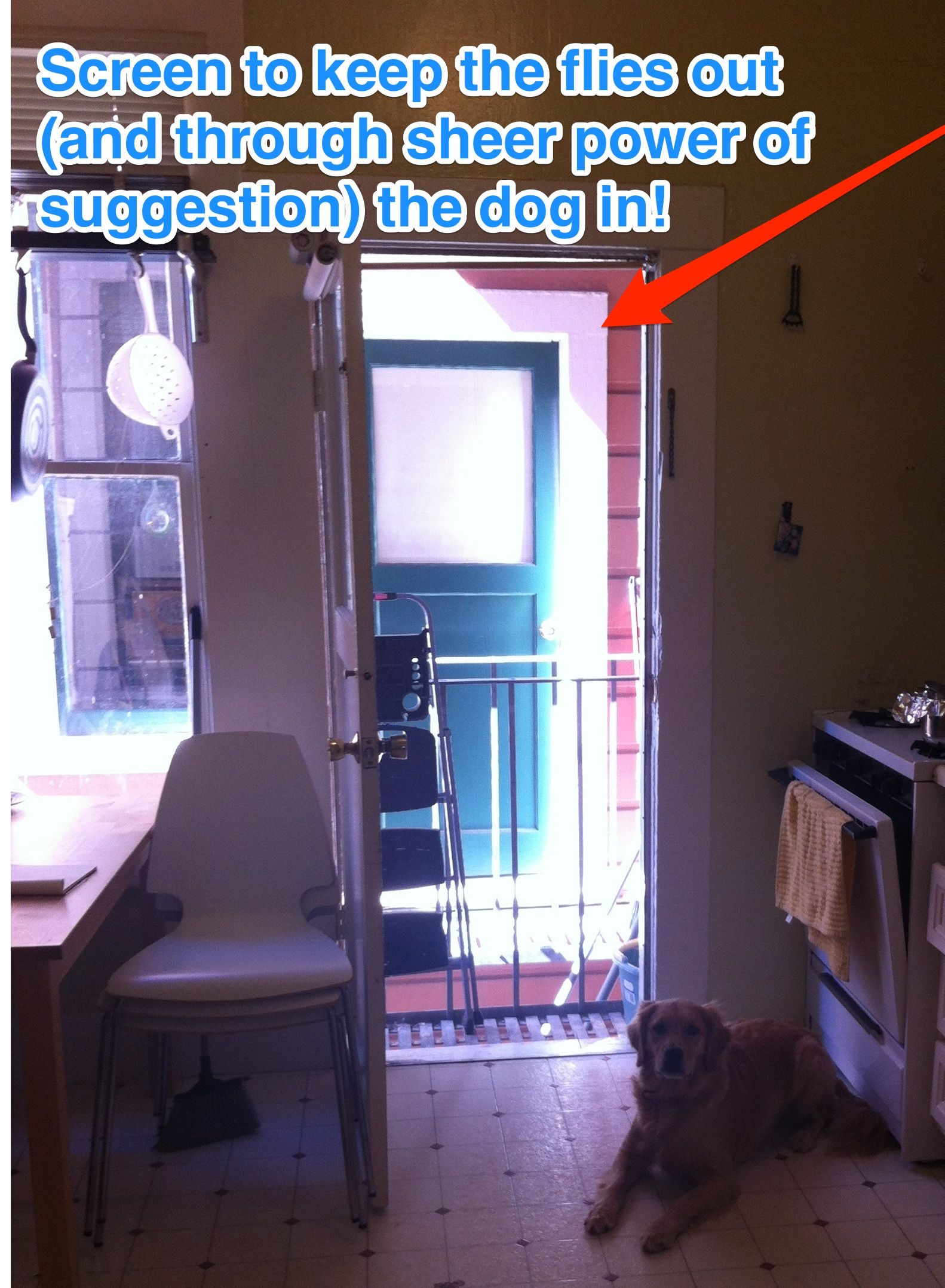 Homemade Screen Door: (Sunshine In, Flies Out)