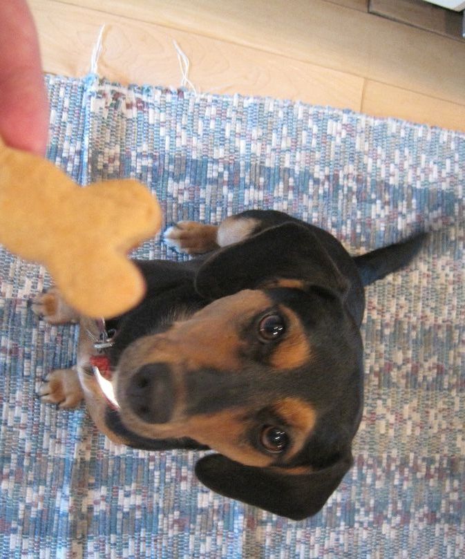 DIY Dog Biscuits