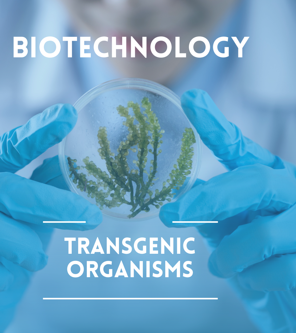 Biotechnology-Transgenic Organisms