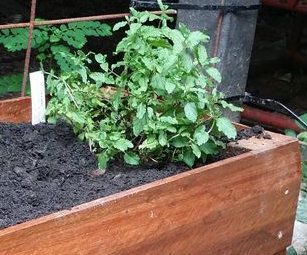 Planter box from surplus timber