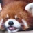 how to make the best ever paper airplane redpanda12