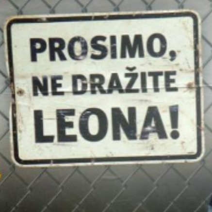 Leonslo