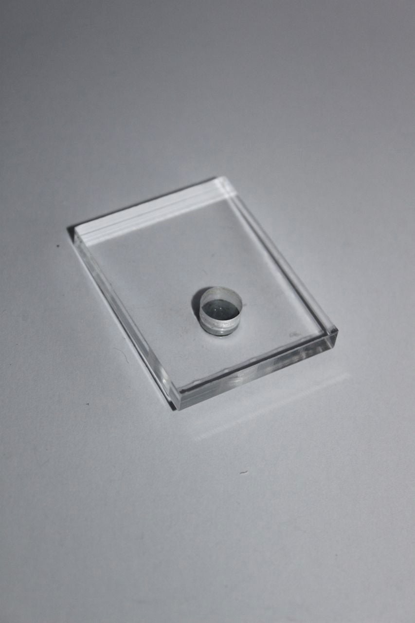 Assembly Part 3: the Head