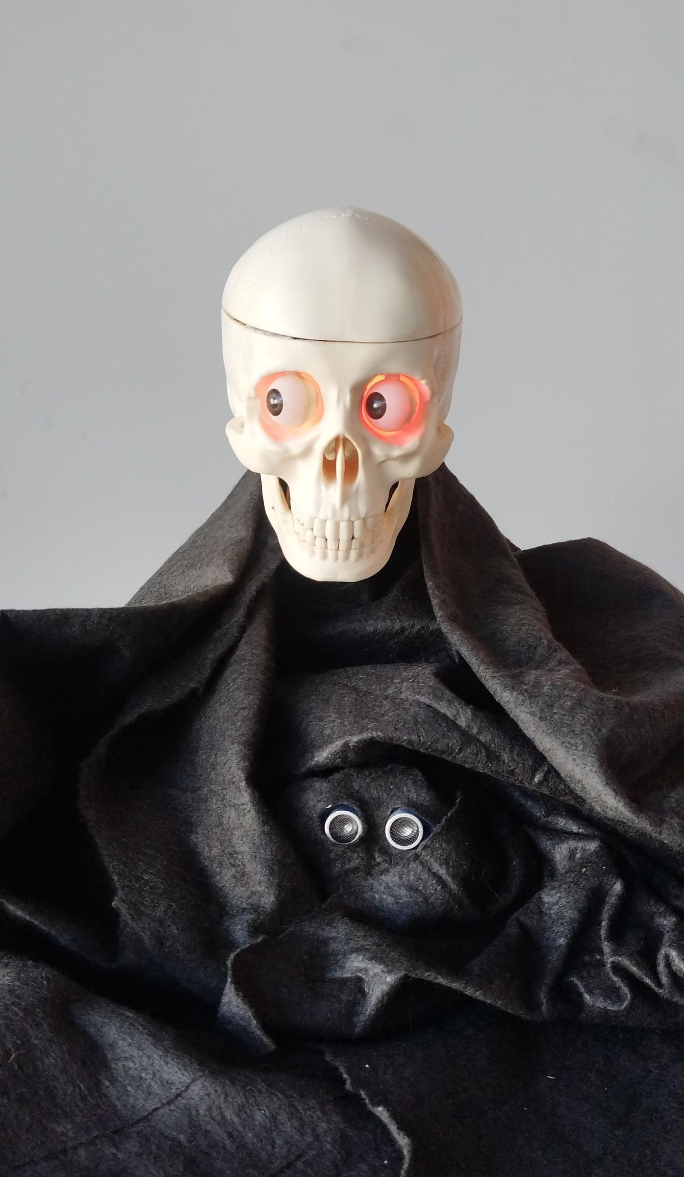 Animatronic Skull With Arduino : 7 Steps (with Pictures) - Instructables