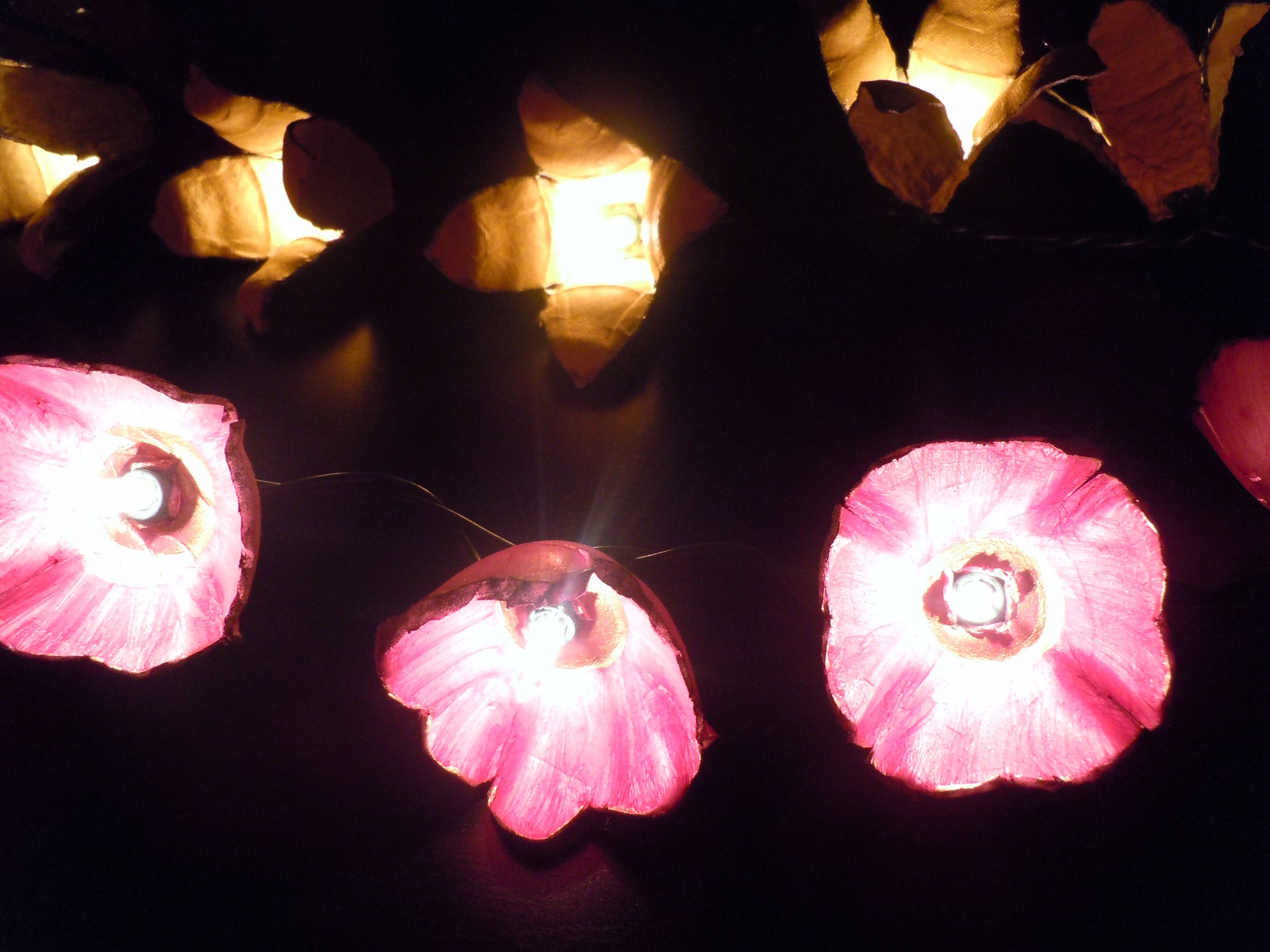 Egg Carton Flower Lights