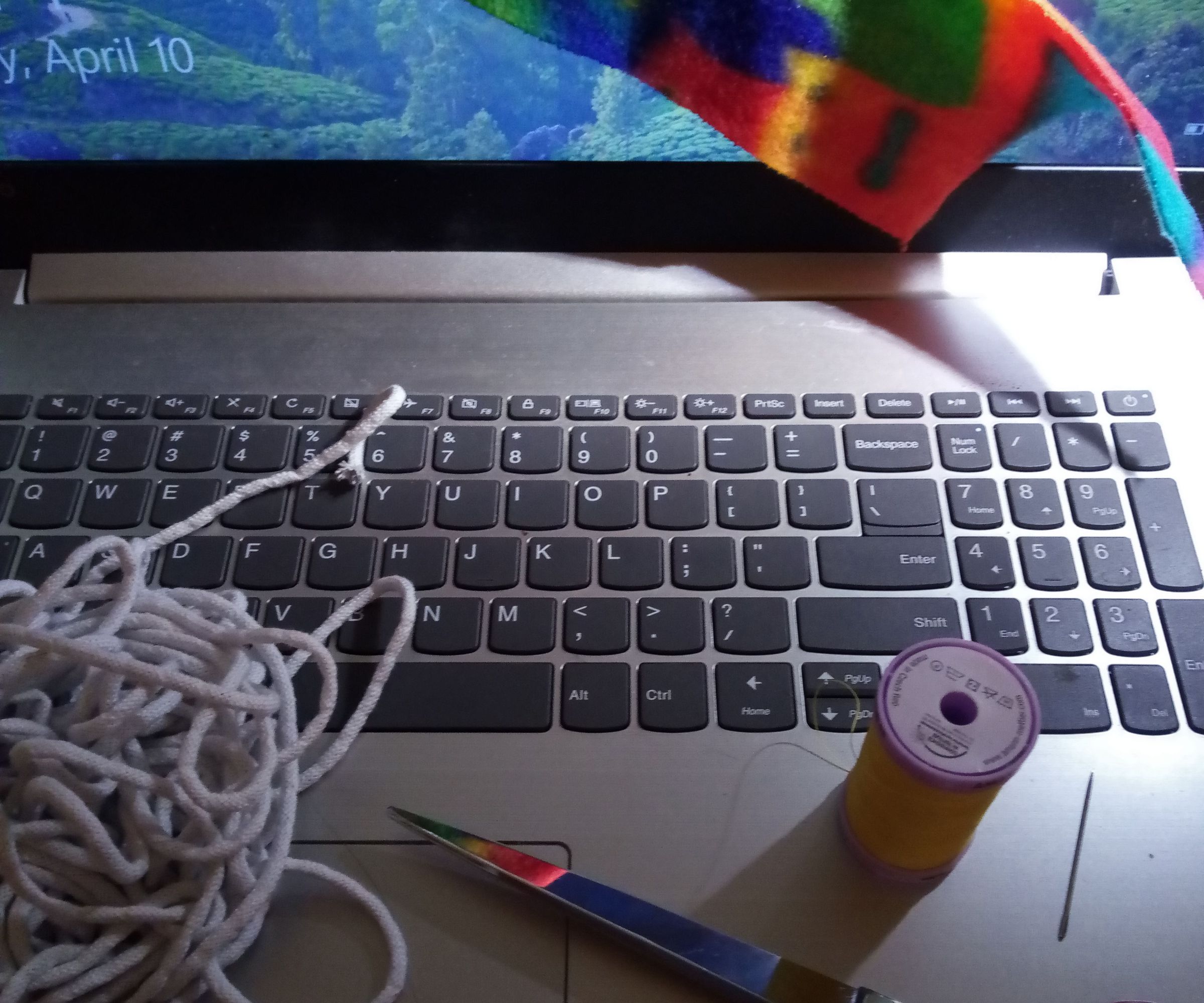 Serious Sewist Fabric Webcam Cover