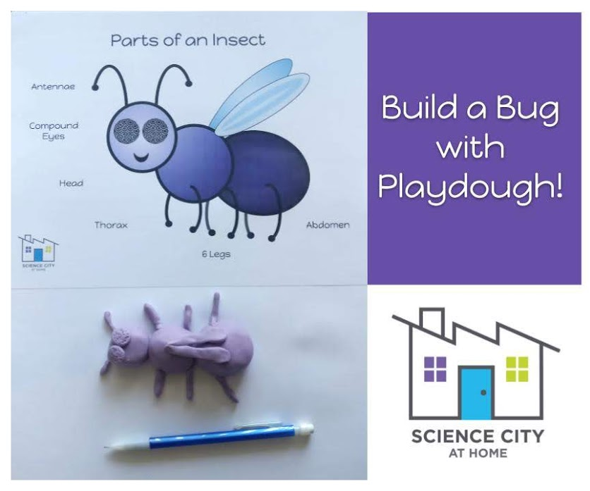 Build a Bug! : 4 Steps - Instructables