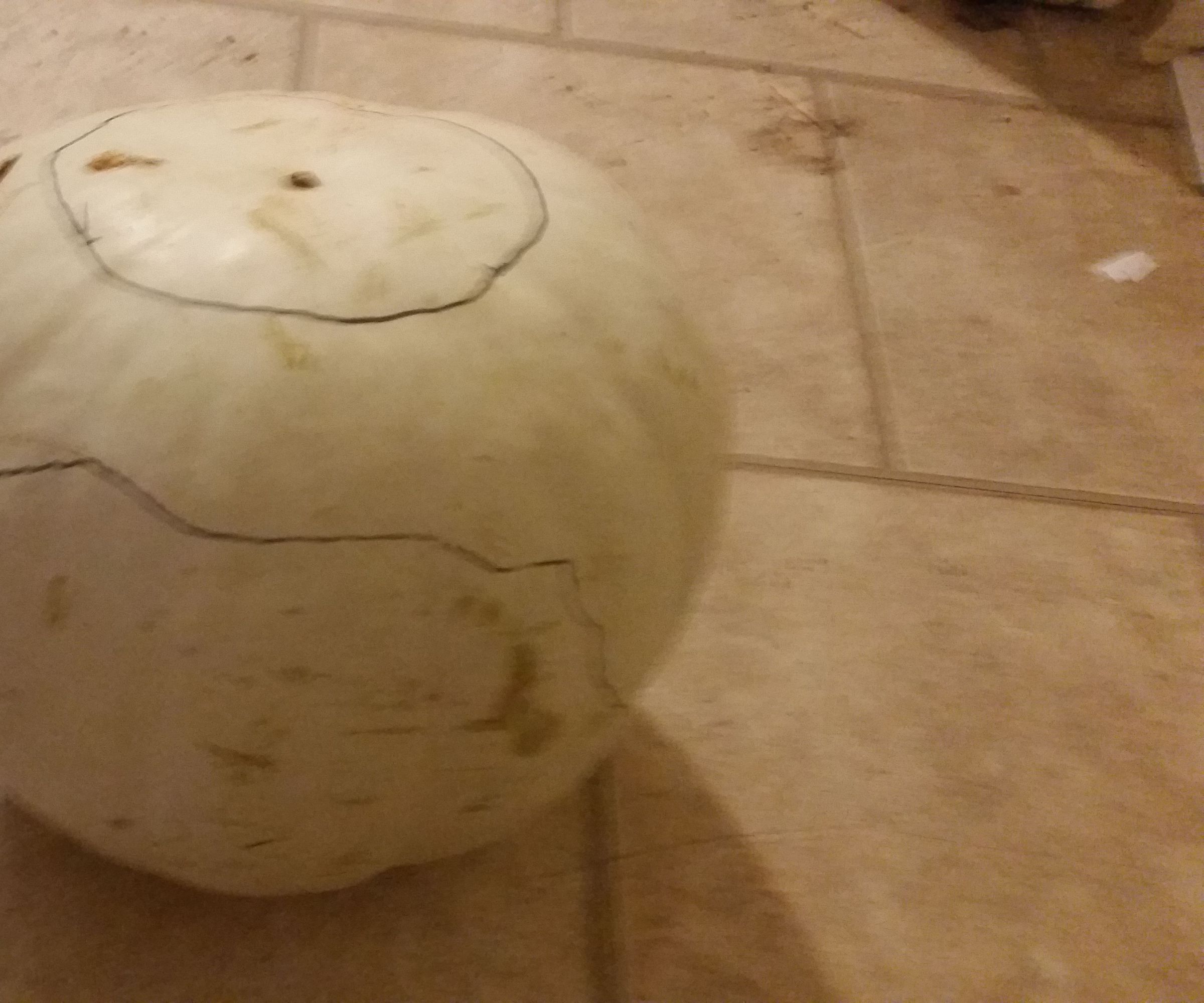 Ghost Pumpkin 