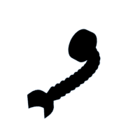 download {{ file.name }}