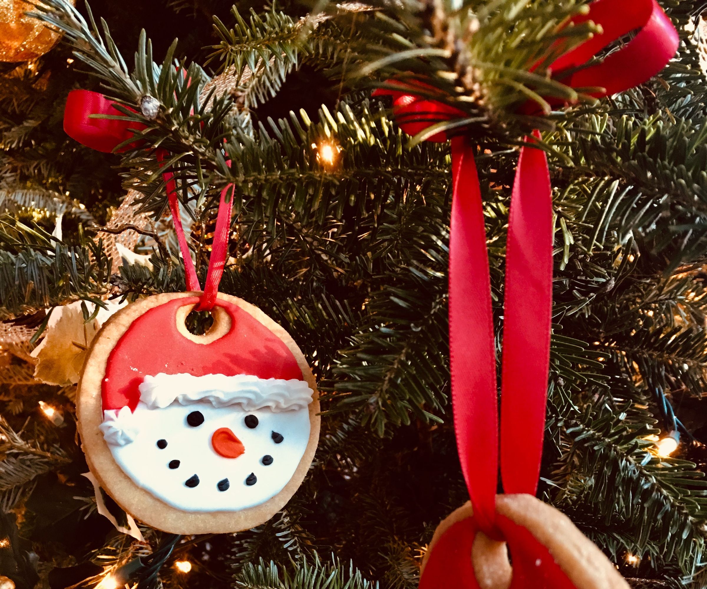 Homemade Christmas Ornament Cookies