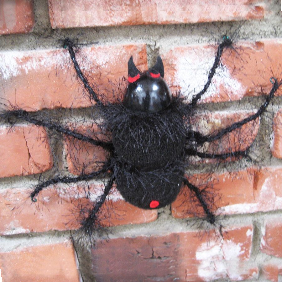 Black Hairy Scary Spider
