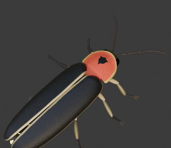 Making Digital Fireflies