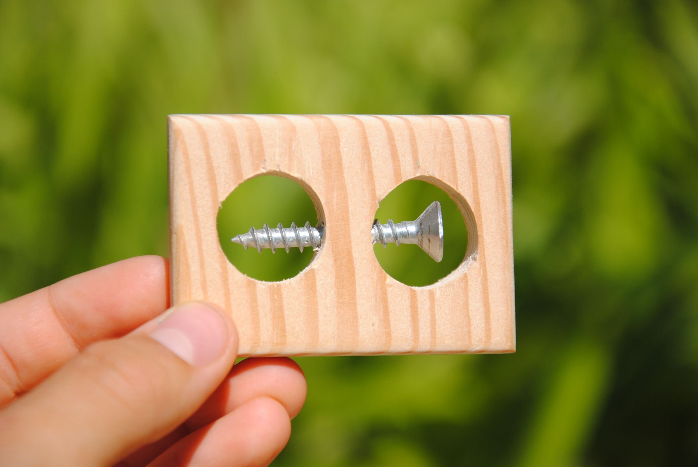 Impossible Screw in a Block of Wood : 8 Steps (with Pictures ...