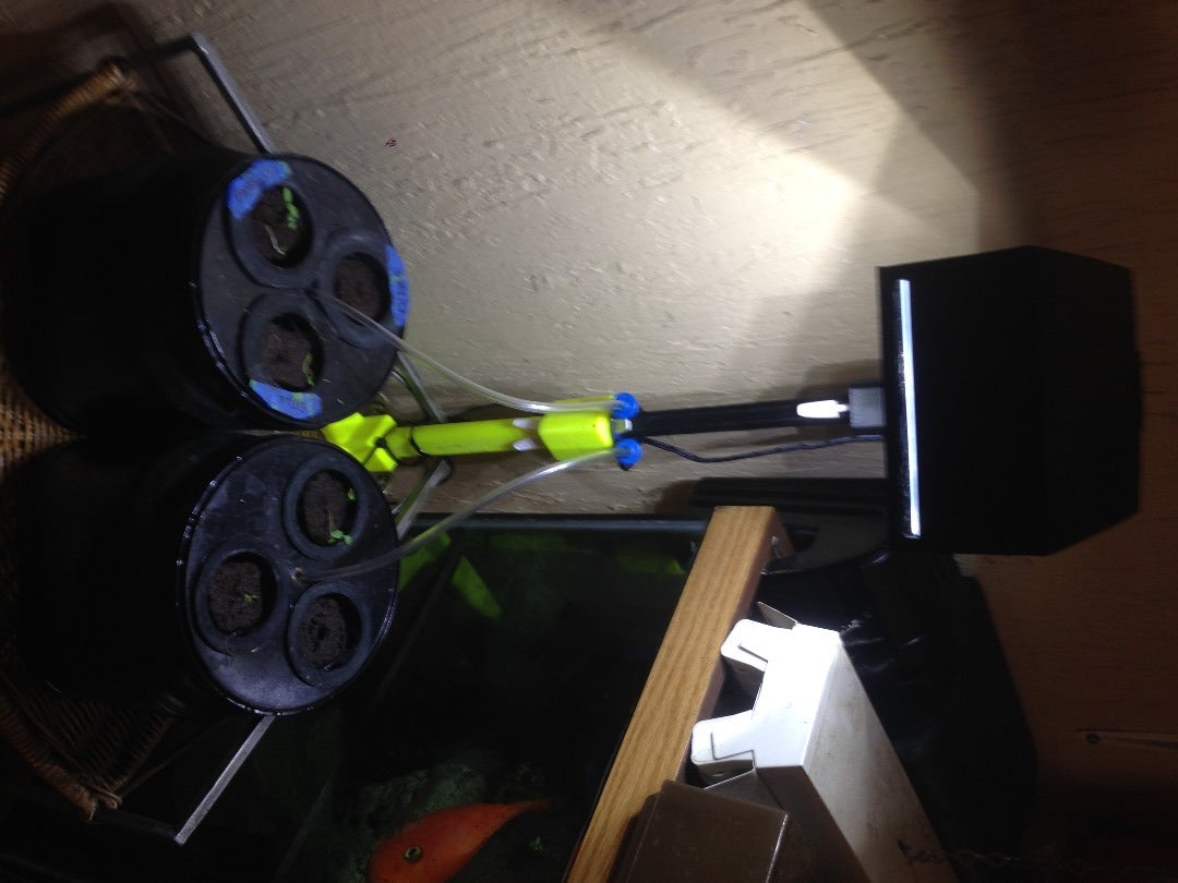 Mini Indoor Deep Water Culture Hydroponic Garden