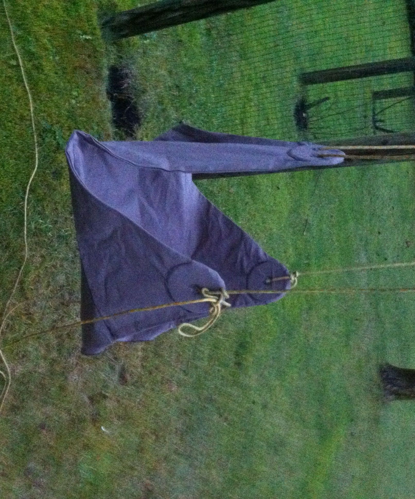 Carry Around Swing