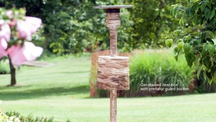How to Make a Bird Feeder Post Out of Pvc: Easy DIY Guide