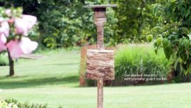 How to Make a Bird Feeder Post Out of Pvc: Easy DIY Guide