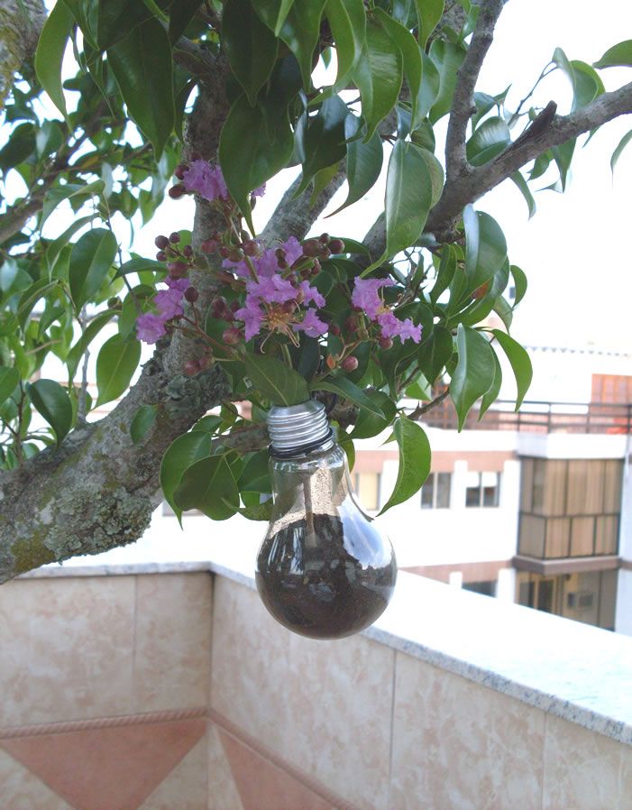 Pot Flower With Lamp Bulb