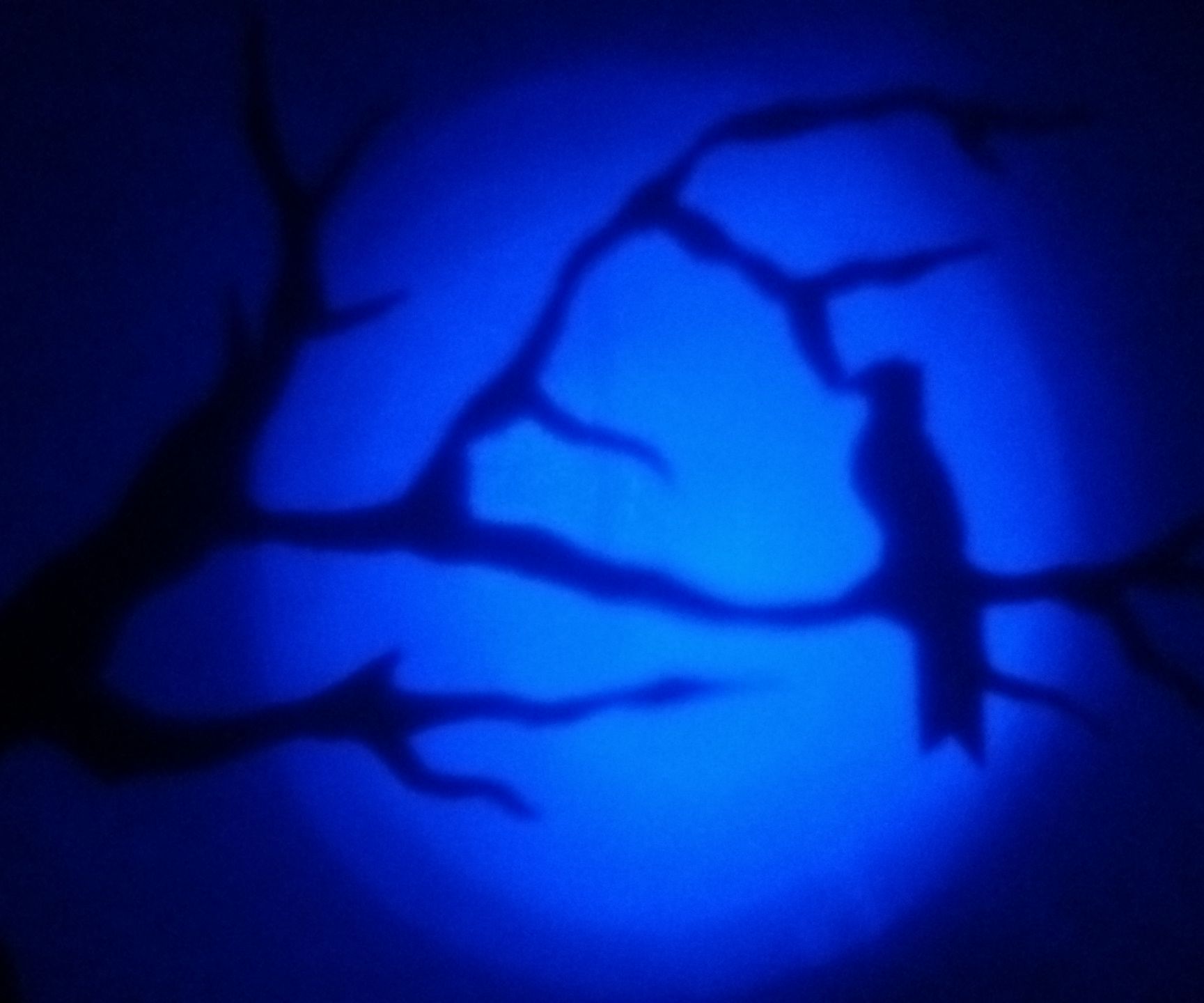 Wall Projections From Paper