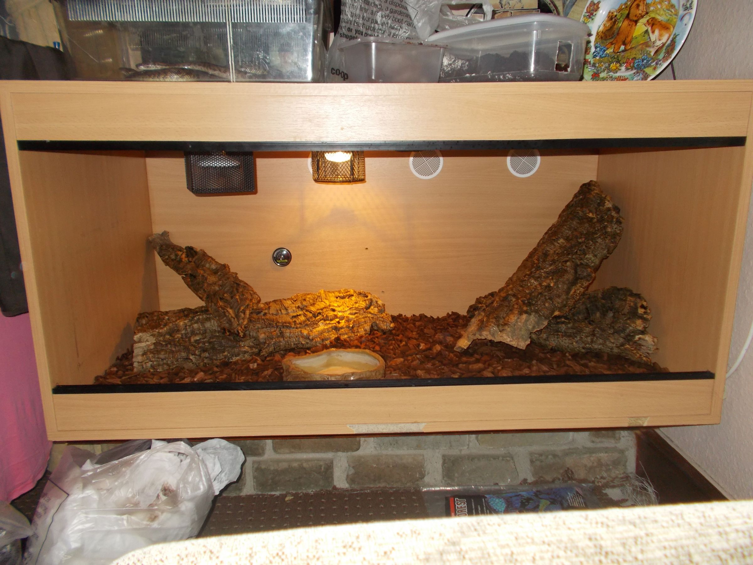 How to Setup a Snake Viv 13 Steps Instructables