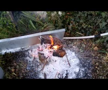 How to Remove a Tree Stump