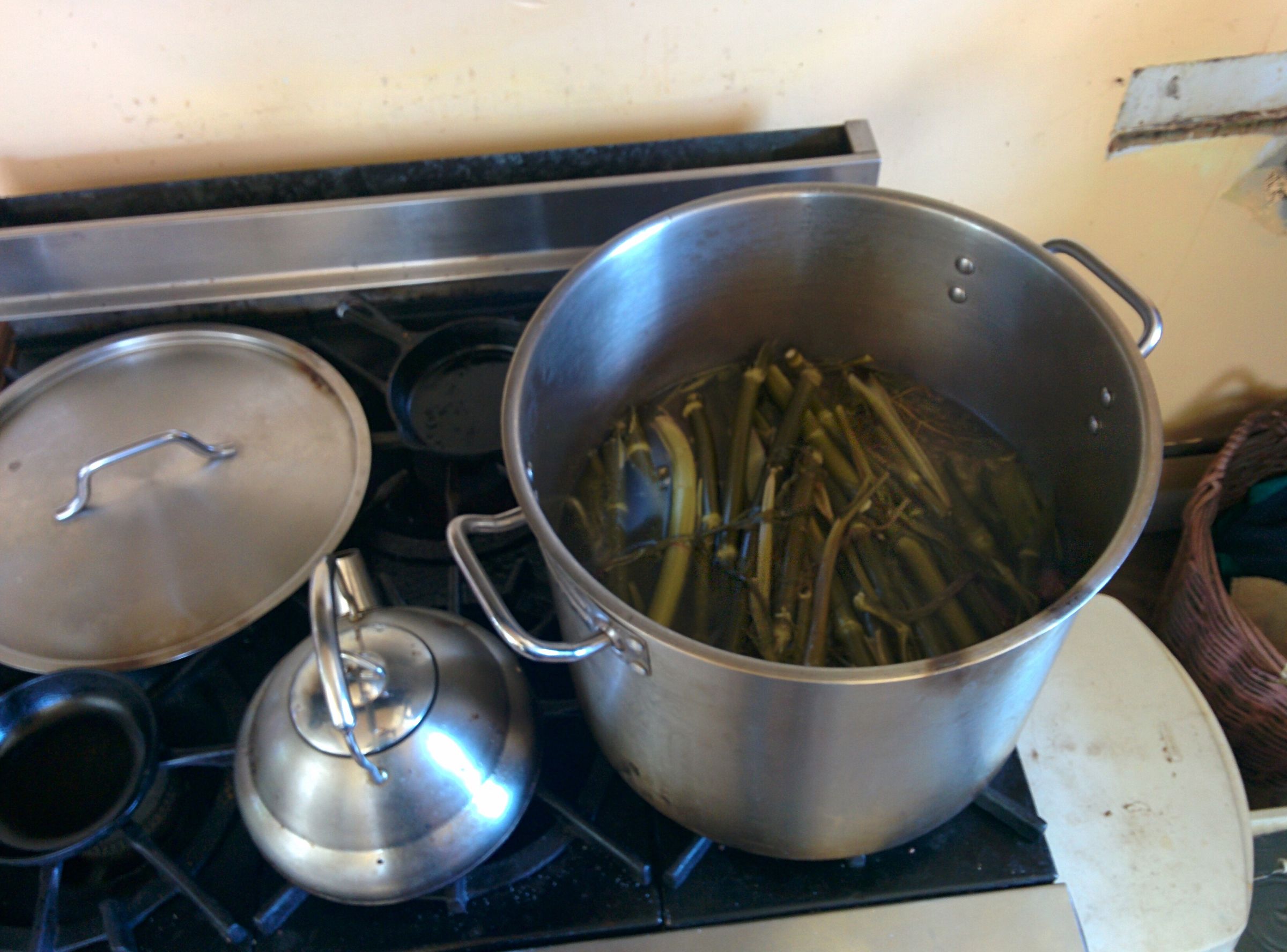 Fennel Stalk Soup Stock 3 Steps Instructables