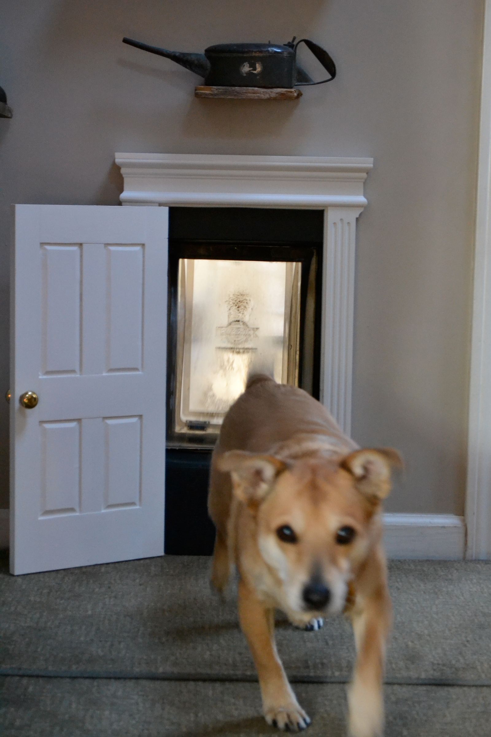High Class Dog Door Instructables