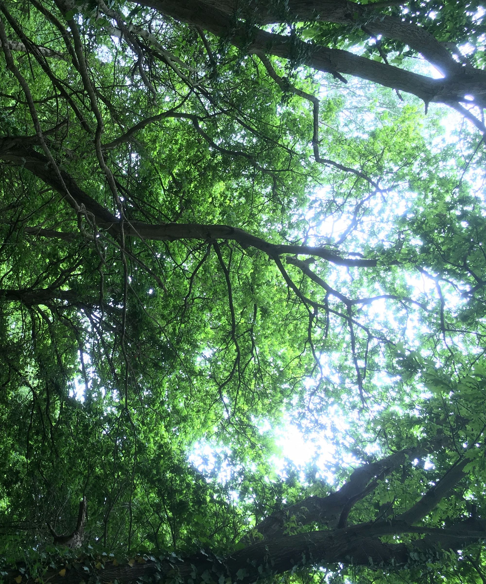 How to Take Great Rural Pictures