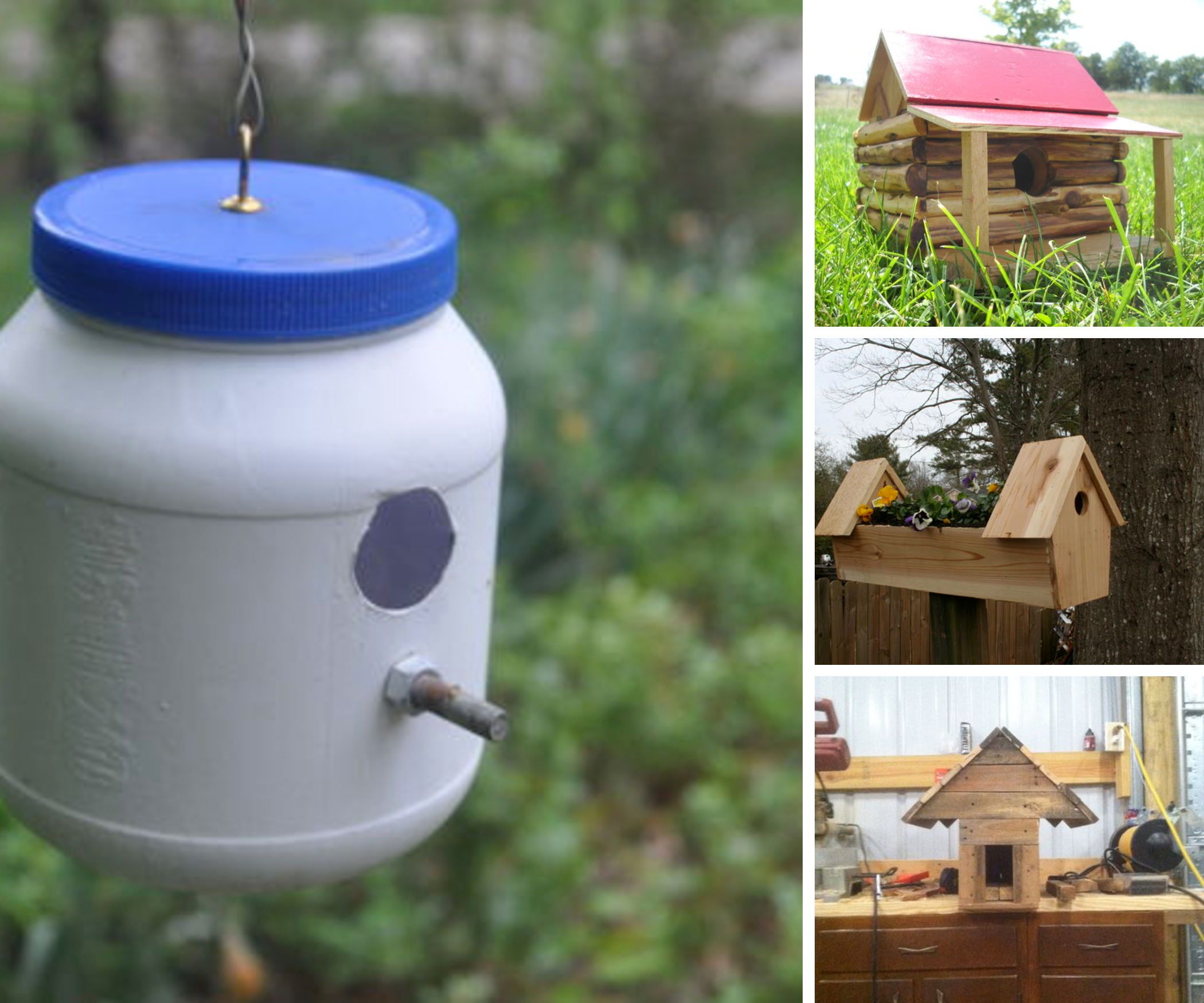 Bird Houses Shared by Gregory Grookett