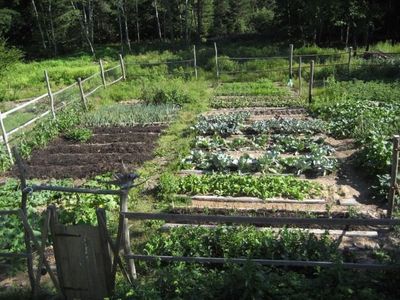 Make Sure You Immediately Start Planning for Food